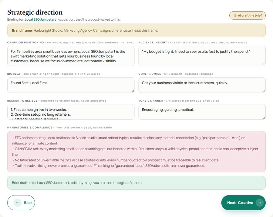 The strategy step: six brief fields drafted by the AI strategist, with the sector compliance block below